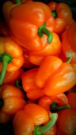 Full frame shot of bell peppers for sale in market