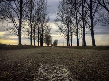 Bare trees on landscape against sky during sunset