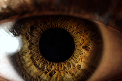 Close-up of human eye