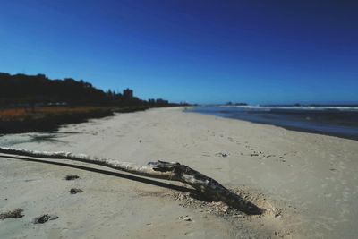 Scenic view of beach