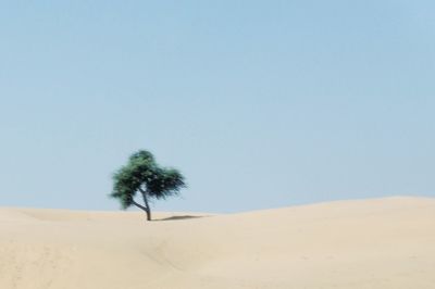 Scenic view of desert against clear blue sky