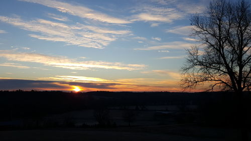 Silhouette of trees at sunset