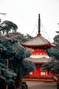 Shinto shrine by trees against clear sky