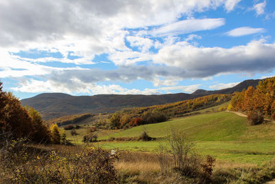 Scenic view of landscape against sky