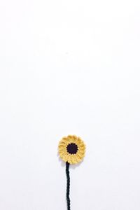 Close-up of flower against white background