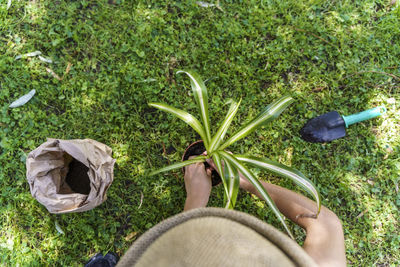 Low section of person holding plants