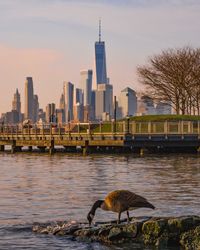 View of city by river and buildings against sky
