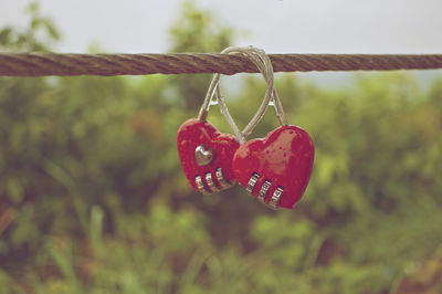 Close-up of love padlocks hanging on rope