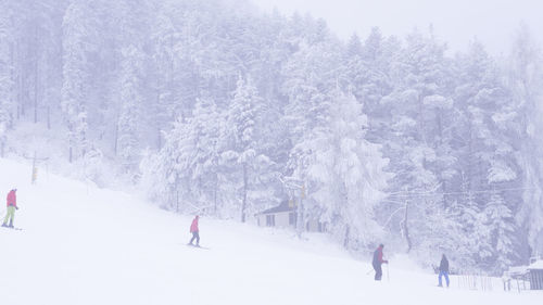 People skiing on snow covered landscape