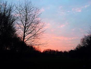 Silhouette tree against sky at sunset