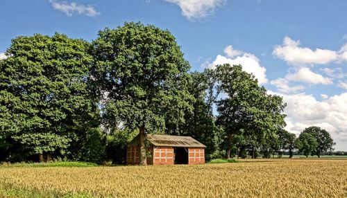 House by trees on field against sky