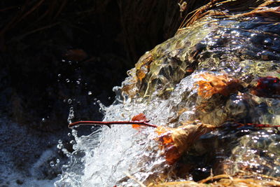 Close-up high angle view of water