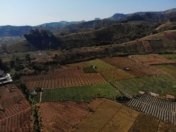 High angle view of agricultural field against sky