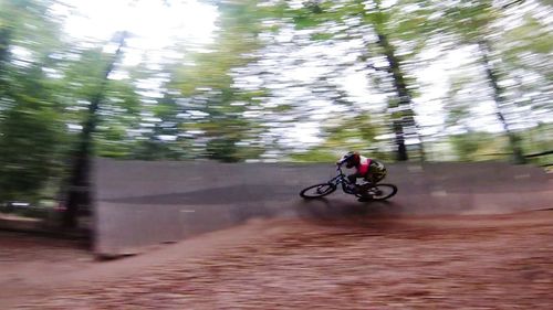 Man riding bicycle on tree against sky