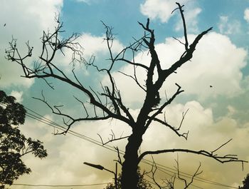 Low angle view of silhouette tree against sky