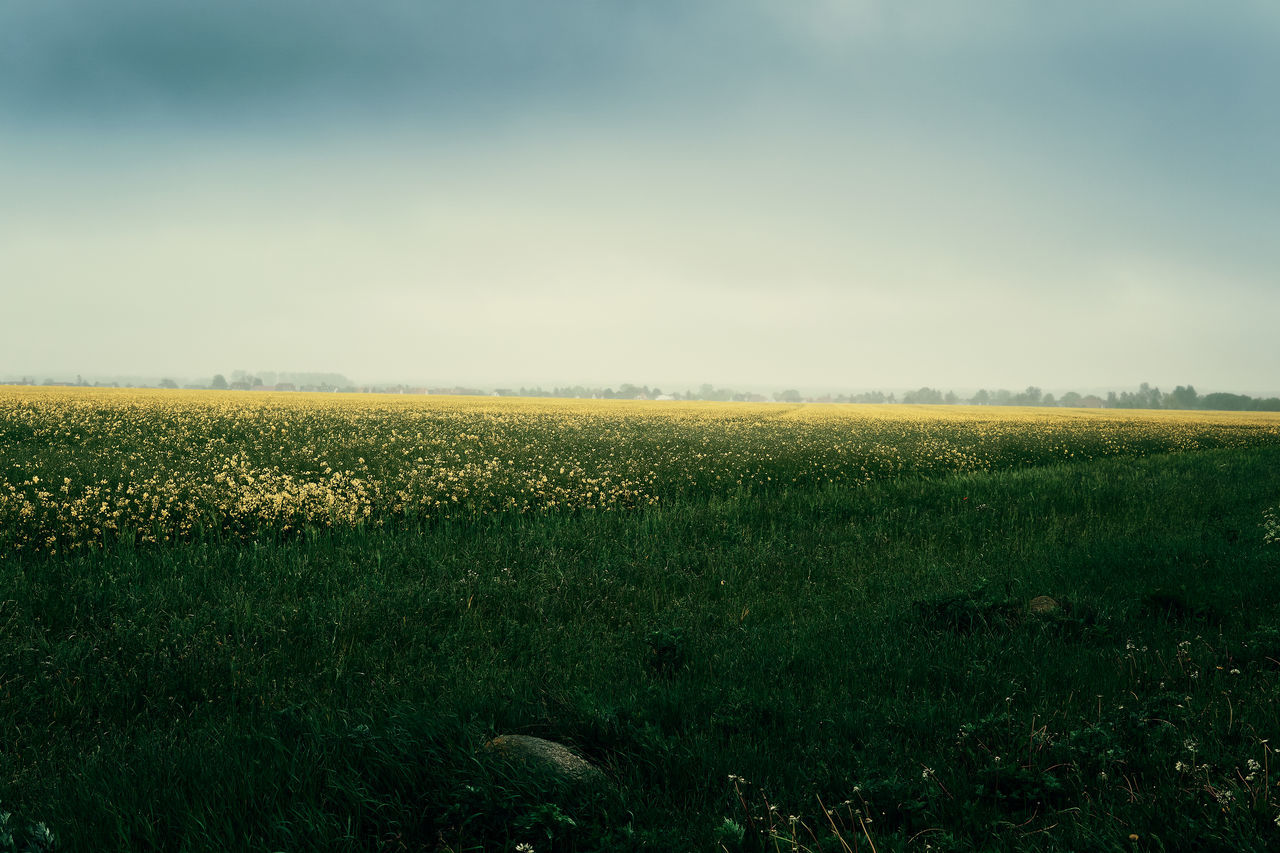 SCENIC VIEW OF AGRICULTURAL FIELD AGAINST SKY DURING SUNSET