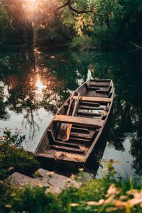 Boat moored in lake against trees in forest