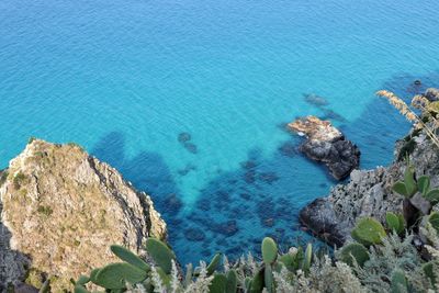 High angle view of rocks on sea shore