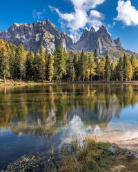 Scenic view of lake by trees against sky