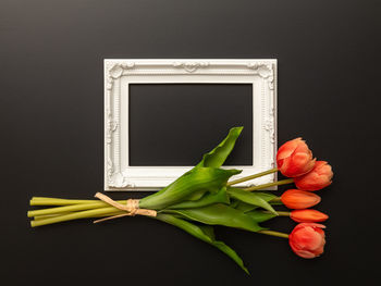 Directly above shot of tulip on table against black background