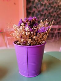 Close-up of potted plant on table