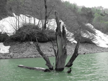 Scenic view of river