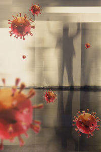 Red flowers on glass window