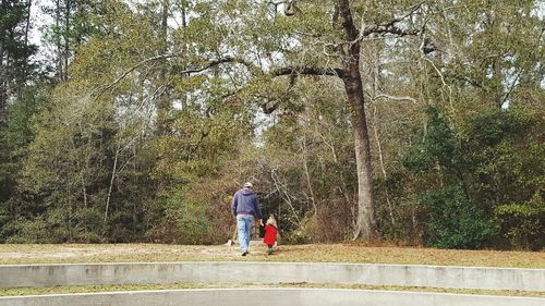 Rear view of people walking by trees against sky