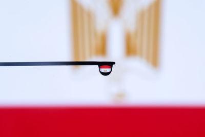 Reflection of egyptian flag on water drop