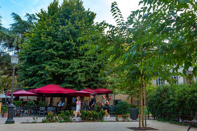 Trees and plants in park by building against sky