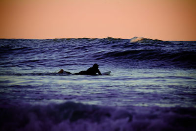 Silhouette ducks swimming in sea against sky during sunset