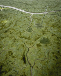 Aerial view of river delta