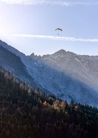 Gleitschirmfliegen über den herbstlichen alpen und bunten nadelbäumen