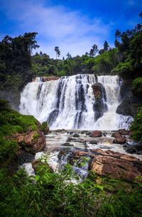 Scenic view of waterfall in forest