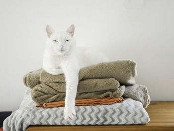 Portrait of white cat resting on stacked towels by wall