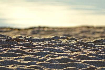 Close-up of landscape against the sky