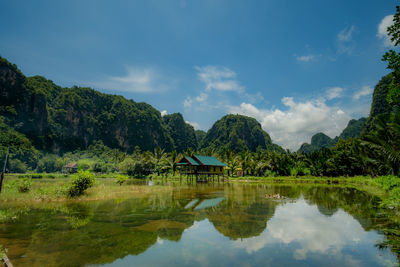 Scenic view of lake by trees against sky
