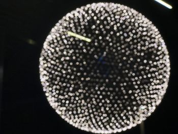 Close-up of leaf over black background