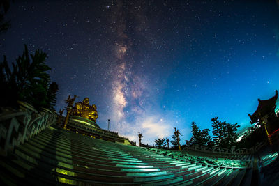 Low angle view of trees against sky at night