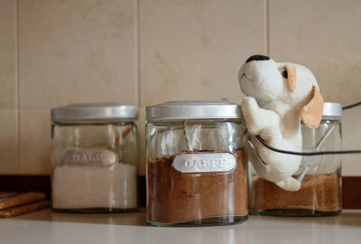 Close-up of stuffed toy on jar