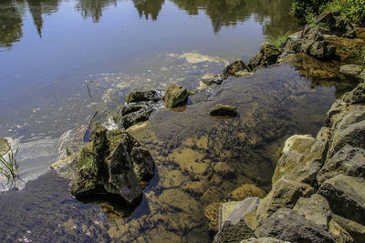 High angle view of rocks at beach