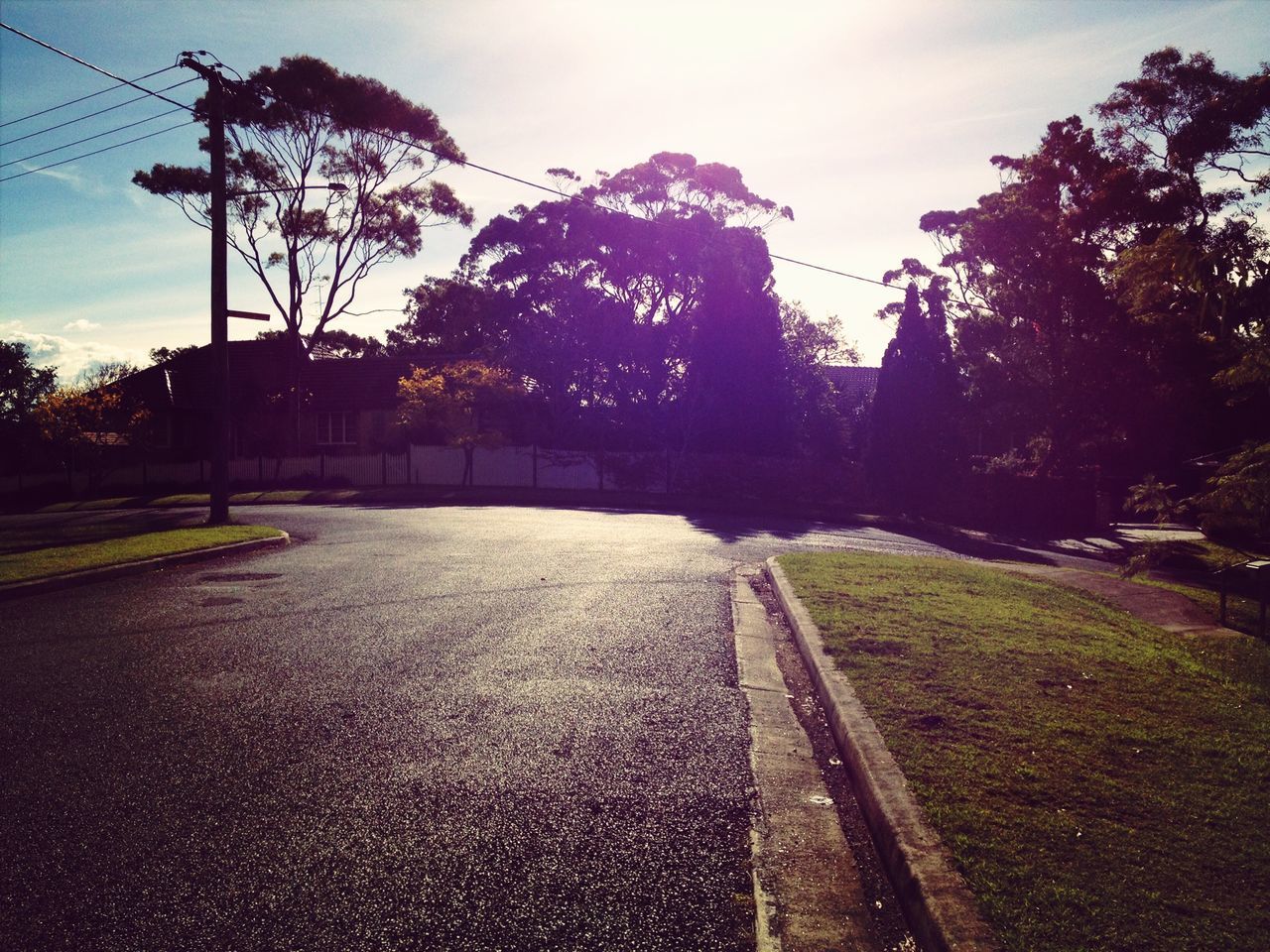 tree, the way forward, sky, transportation, road, diminishing perspective, growth, vanishing point, nature, tranquility, sunlight, outdoors, tranquil scene, street light, street, grass, cloud - sky, no people, footpath, landscape