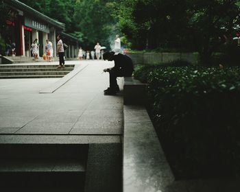 People walking in park