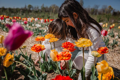Two children in white clothes picking tulips sitting in the fielld
