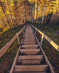 Wooden footbridge amidst trees in forest during autumn