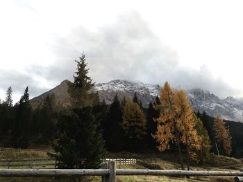 Scenic view of trees and mountains against sky