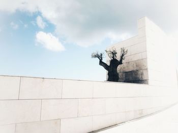 Low angle view of bare tree by wall against sky