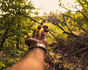 Midsection of person holding ice cream cone against trees