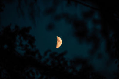 Low angle view of moon against sky at night