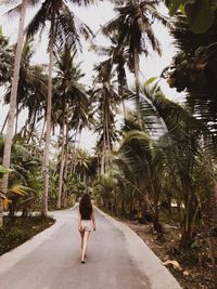 Rear view of woman walking on road